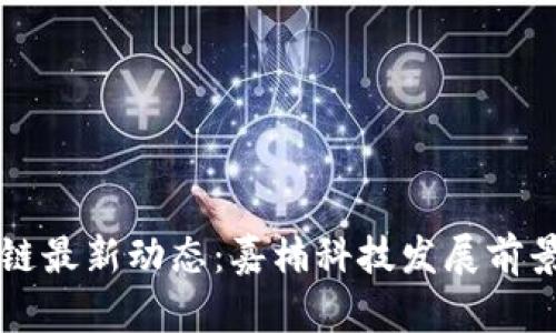 区块链最新动态：嘉楠科技发展前景分析