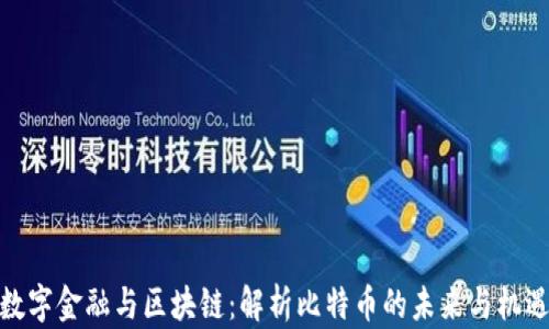 
数字金融与区块链：解析比特币的未来与机遇