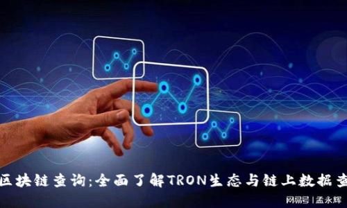 波场币区块链查询：全面了解TRON生态与链上数据查询体验