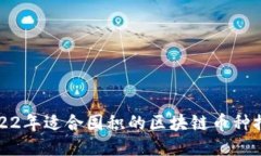 2022年适合囤积的区块链币种推荐
