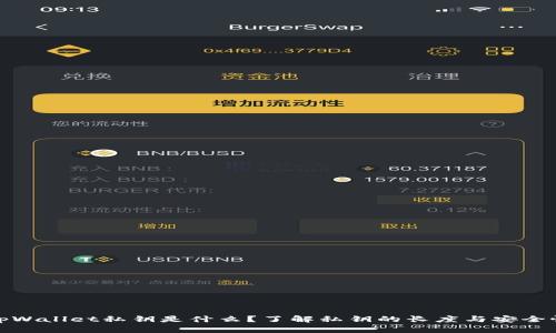 tpWallet私钥是什么？了解私钥的长度与安全性