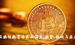 国家区块链数字币最新消息：趋势、挑战与未来