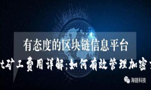 tpWallet矿工费用详解：如何有效管理加密交易成本