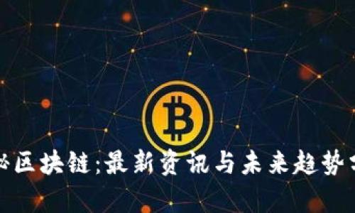 探秘区块链：最新资讯与未来趋势分析