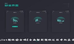 tpWallet转账安全吗？全面解