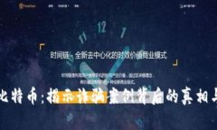 区块链与比特币：揭示诈