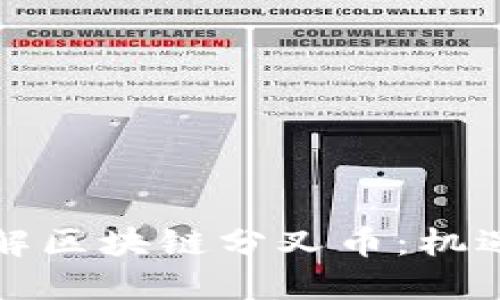 深入了解区块链分叉币：机遇与挑战