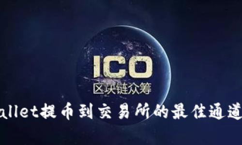 tpWallet提币到交易所的最佳通道解析