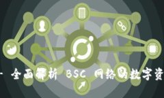 tpWallet - 全面解析 BSC 网络