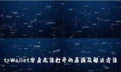 tpWallet分身无法打开的原因及解决方法