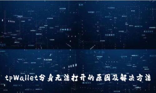 tpWallet分身无法打开的原因及解决方法