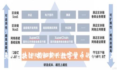 鲨鱼币区块链：揭秘新兴数字货币的潜力与未来
