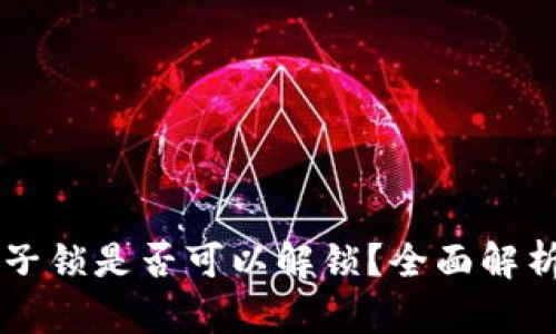 tpWallet池子锁是否可以解锁？全面解析与操作指南