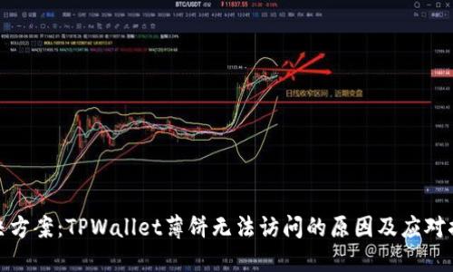 解决方案：TPWallet薄饼无法访问的原因及应对措施