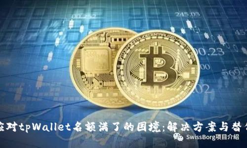 如何应对tpWallet名额满了的困境：解决方案与替代选择