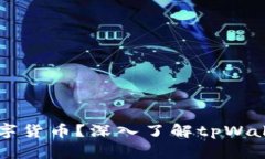 tpWallet属于哪种数字货币？