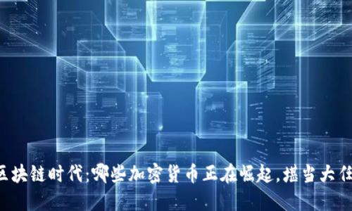 区块链时代：哪些加密货币正在崛起，堪当大任？