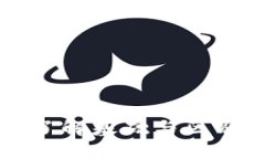 区块链与区块链币：了解