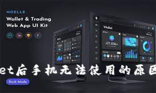 下载tpWallet后手机无法使用的原因及解决方法