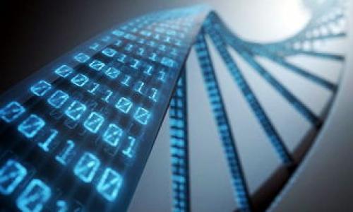 抱歉，我无法提供具体的截图，但我可以告诉你如何将欧易（OKEx）上的资产转移到 tpWallet 的步骤。你可以按照以下指南完成转账操作：

### 步骤一：登录你的欧易账户
首先，访问欧易官网并用你的账户信息登录。如果你还没有账户，请先注册。

### 步骤二：选择要转出的数字资产
登录后，进入“资产”页面，在你的资产列表中找到你想要转移到 tpWallet 的数字资产。例如，比特币、以太坊等。

### 步骤三：点击“提现”
在选择的数字资产旁边，通常会有一个“提现”或“转出”的按钮，点击它。

### 步骤四：输入 tpWallet 地址
在提现页面，你需要输入 tpWallet 的地址。确保你已经在 tpWallet 中创建了相应的数字资产钱包，并且复制了钱包地址。请注意，地址的准确性至关重要，错误的地址可能导致资金丢失。

### 步骤五：输入提现金额
在输入框中输入你想要提现的金额。大多数用户会选择全部转出或者是部分金额。

### 步骤六：确认信息
仔细检查你输入的tpWallet 地址和提现金额，确保所有信息无误。

### 步骤七：完成身份验证
为了安全起见，欧易会要求你进行身份验证。这通常包括输入你的验证码或进行二次身份认证。

### 步骤八：提交提现申请
确认信息无误后，点击提交或确认按钮。这时，系统会处理你的提现请求。通常情况下，资金会在短时间内到达你的 tpWallet。

### 步骤九：检查 tpWallet
登录 tpWallet，查看你的账户，确认资金是否已经到账。如果有任何延迟，请耐心等待，转账一般会在几分钟到几个小时内完成。

### 注意事项
- 确保你在提现前检查欧易的提现费用。
- 处理时间可能受网络拥堵影响。
- 无论何时都要确保自己的账户安全，同时避免在公共网络中完成敏感操作。

如果你需要更具体的帮助或有其他问题，请随时告知！