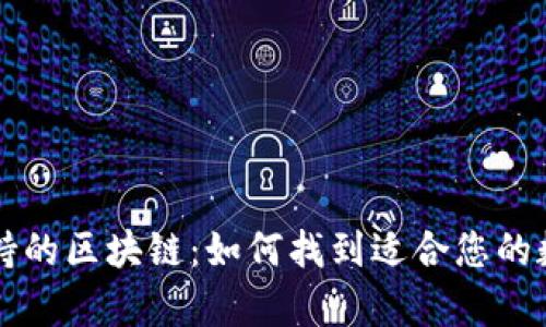 选择tpWallet支持的区块链：如何找到适合您的数字资产管理方案