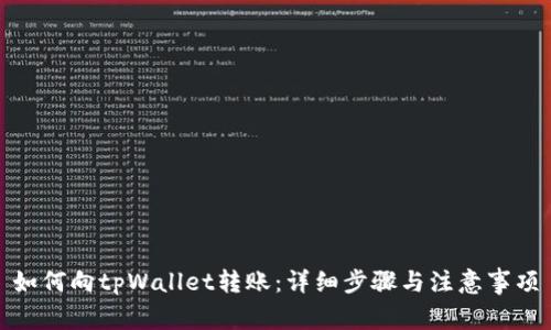 如何向tpWallet转账：详细步骤与注意事项