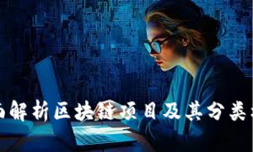全面解析区块链项目及其分类标准