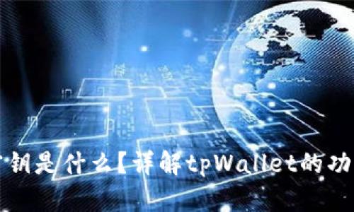 tpWallet密钥是什么？详解tpWallet的功能与安全性