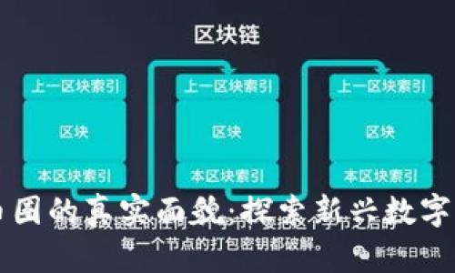 区块链和币圈的真实面貌：探索新兴数字经济的未来