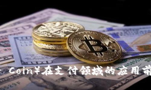 雷达币（Radar Coin）在支付领域的应用前景与技术优势