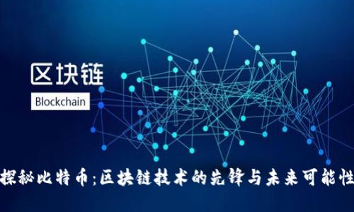 探秘比特币：区块链技术的先锋与未来可能性