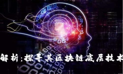 陀螺币全面解析：探寻其区块链底层技术的深度价值