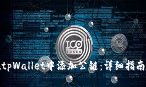如何在tpWallet中添加公链：详细指南与技巧