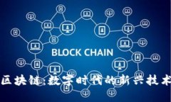 无币区块链：数字时代的