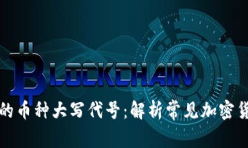 深入了解区块链中的币种大写代号：解析常见加密货币以及它们的意义