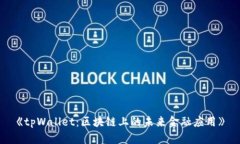 《tpWallet：区块链上的未来