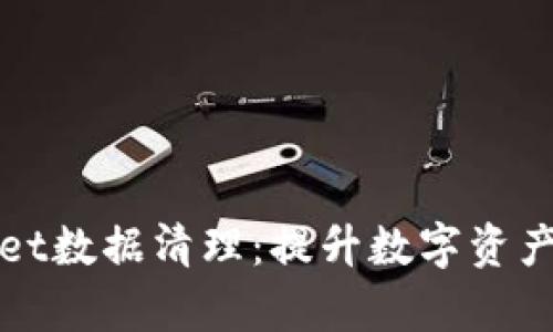 全面解析tpWallet数据清理：提升数字资产安全与隐私保护