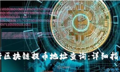如何进行区块链提币地址查询：详细指南与技巧