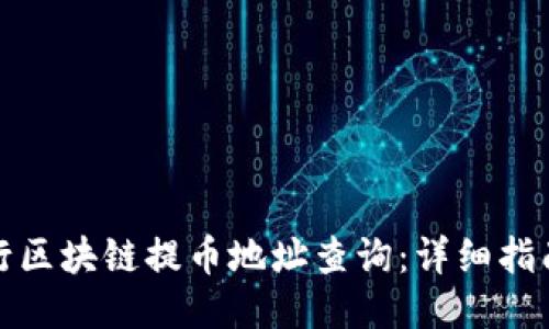 如何进行区块链提币地址查询：详细指南与技巧