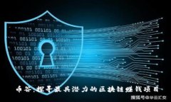 币谷：探寻最具潜力的区