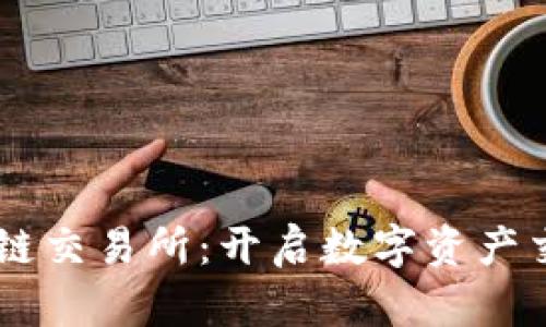 币龙网区块链交易所：开启数字资产交易的新纪元