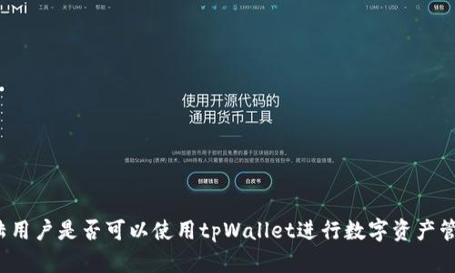 大陆用户是否可以使用tpWallet进行数字资产管理？