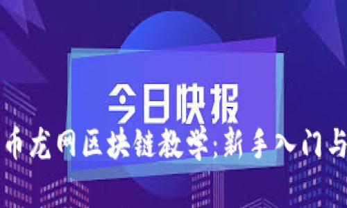 深入解析币龙网区块链教学：新手入门与进阶指南