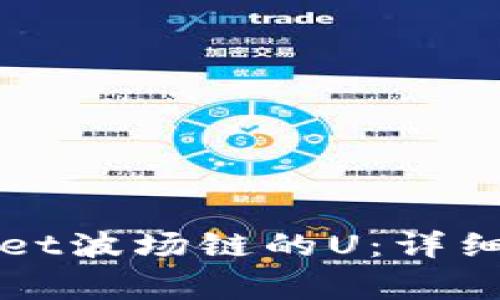 如何提现TPWallet波场链的U：详细步骤与注意事项