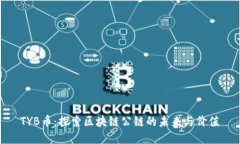 TYB币：探索区块链公链的