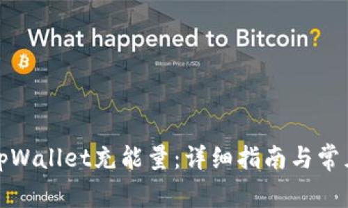 如何通过tpWallet充能量：详细指南与常见问题解答