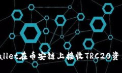 如何通过tpWallet在币安链上