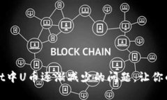 如何解决tpWallet中U币逐渐