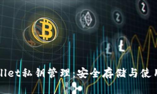 tpWallet私钥管理：安全存储与使用指南
