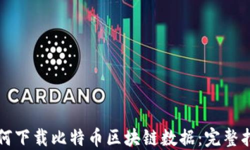 
如何下载比特币区块链数据：完整指南